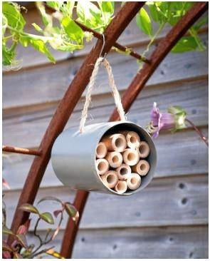 Image result for bee hotel can