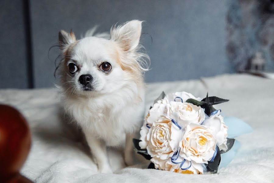 Jurufoto perkahwinan Mariya Bochkova (mariwedphoto). Foto pada 2 September 2019