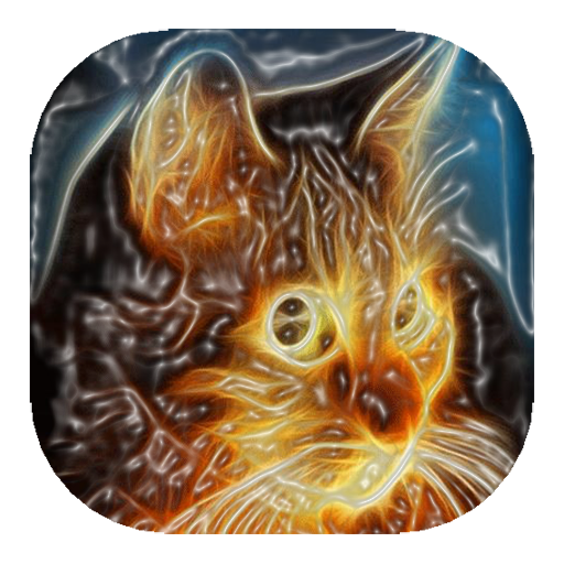 Sunny cat live wallpaper 個人化 App LOGO-APP開箱王