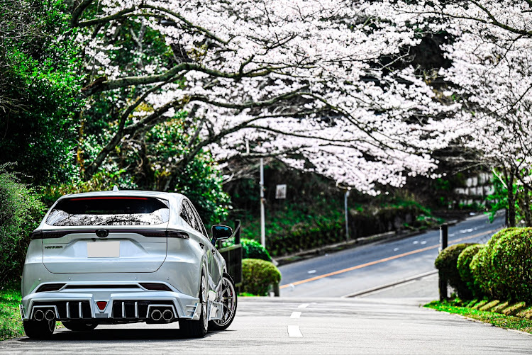 ハリアーのサクラと愛車に関するカスタム事例の投稿画像2枚目