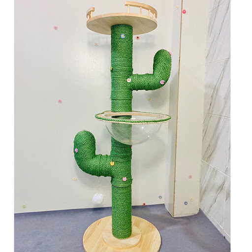 Title 15, Cactus Cat Climbing Frame Self-made DIY Complet...