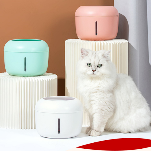 Title 2, Automatic pet water feeder
