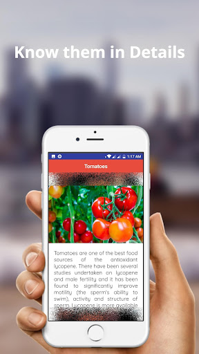 Foods that Boost Male Fertility