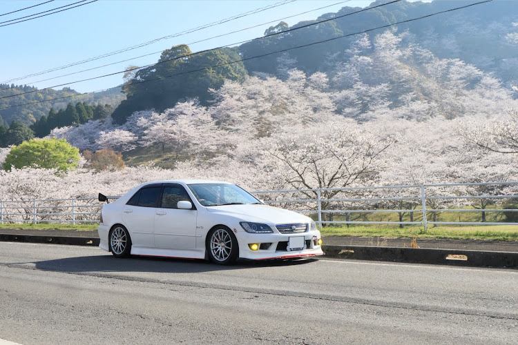 アルテッツァのアルテッツァ乗りは変態らしい・爆走部隊・桜とコラボ・家族でお花見・息子、初桜に関するカスタム事例の投稿画像21枚目