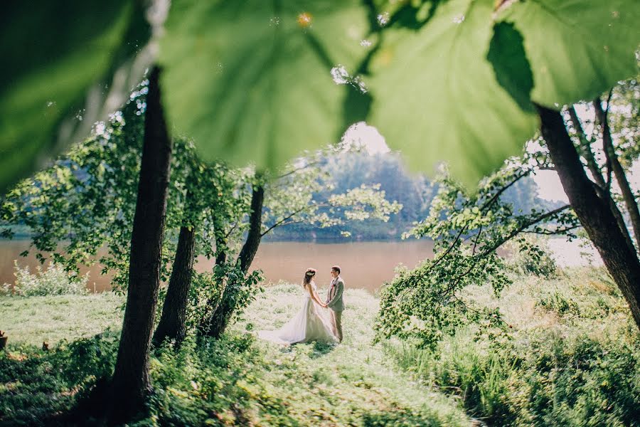 Wedding photographer Dima Sikorski (sikorsky). Photo of 20 February 2016