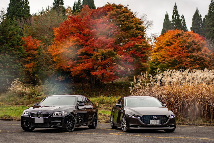 MAZDA3の紅葉と愛車・紅葉シーズン到来・もみの木森林公園・BMW523i・紅葉コラボに関するカスタム事例の投稿画像13枚目