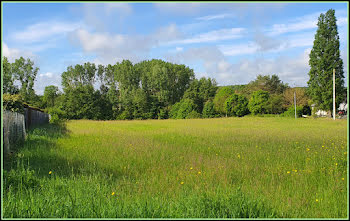 Chemillé-sur-Dême (37)