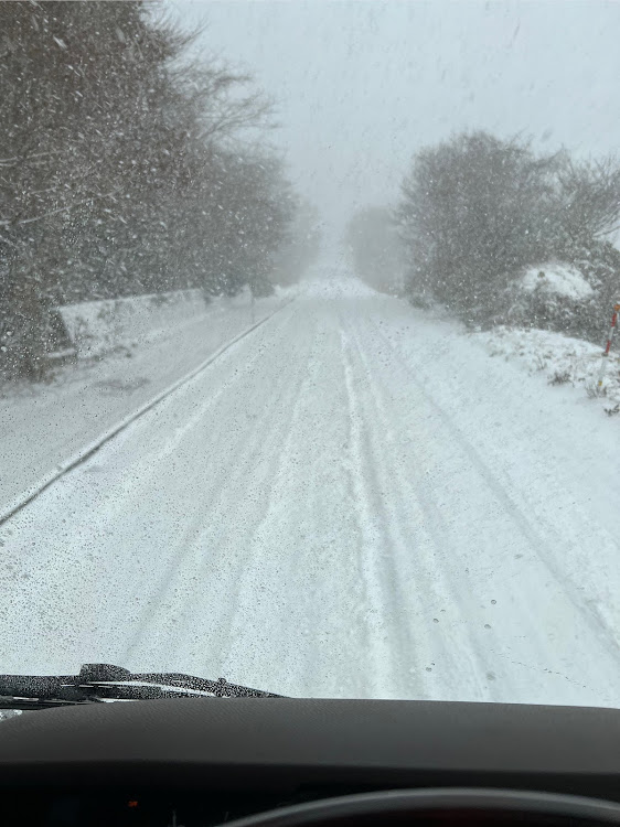 プロフィアの極寒の山田県チベット村・爆走の圧雪路・働き方改革は殺し方改革・友達に感謝・盗人文太に関するカスタム事例の投稿画像7枚目