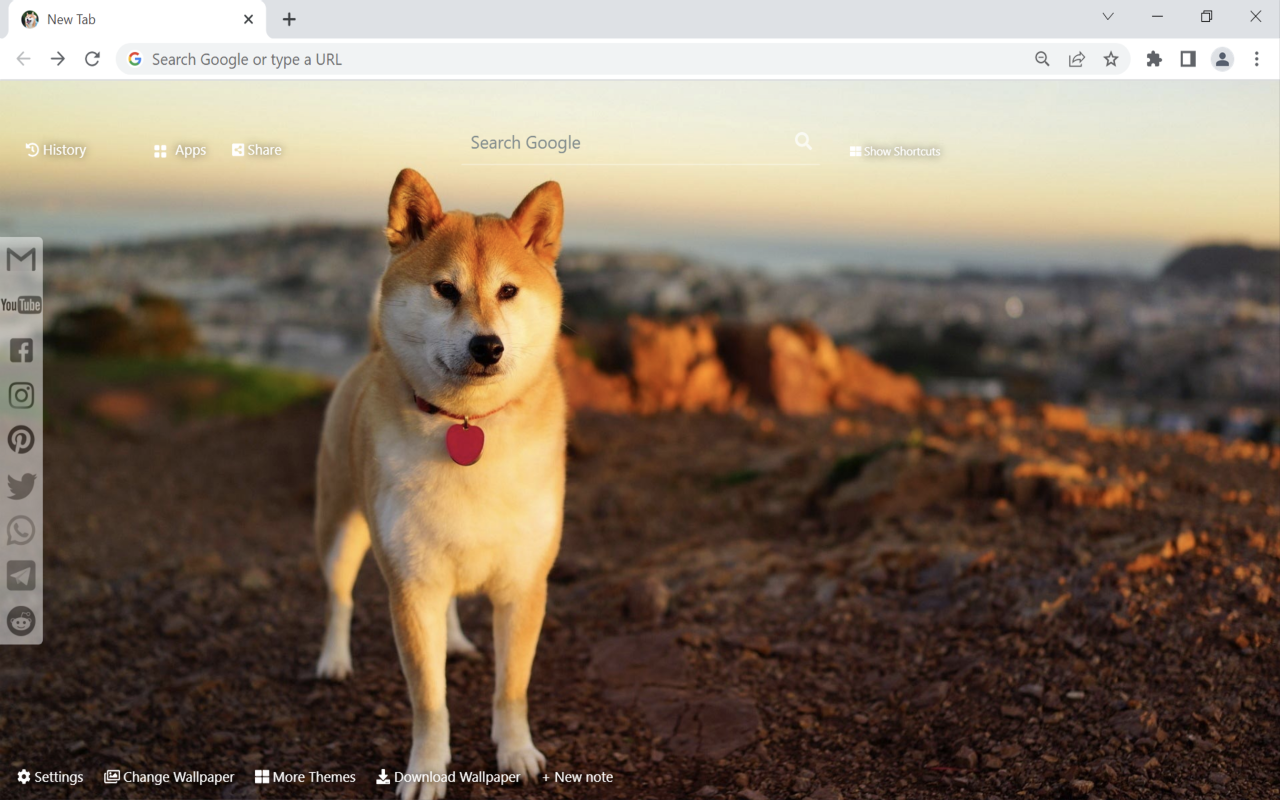 Shiba Inu Wallpaper New Tab Preview image 3