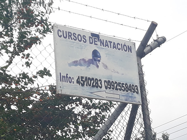 Cursos De Natación