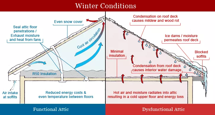 functional attic vs dysfunctional attic