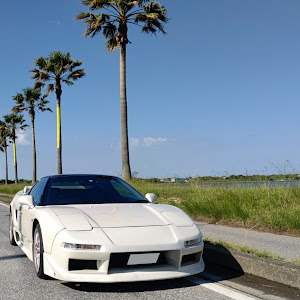 NSX NA1