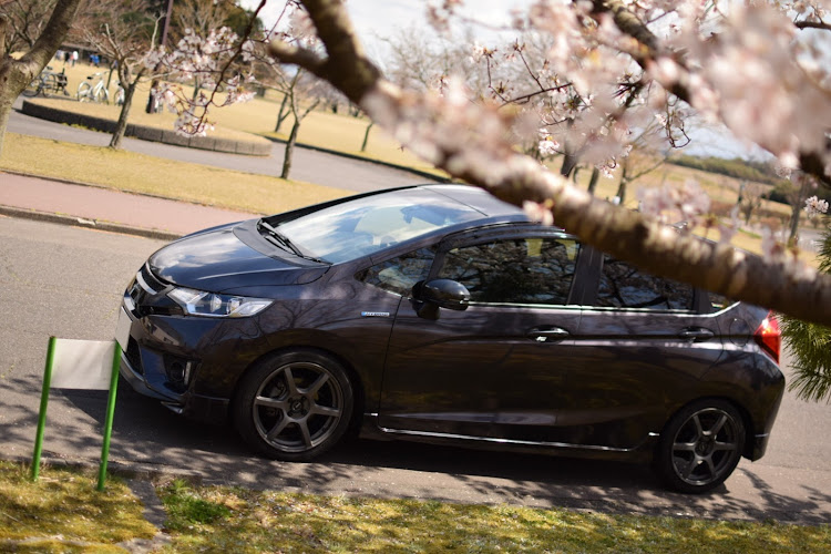 フィットの洗車・ドライブ・桜と愛車・コロナウイルスに負けるな・一眼レフ初心者に関するカスタム事例の投稿画像6枚目