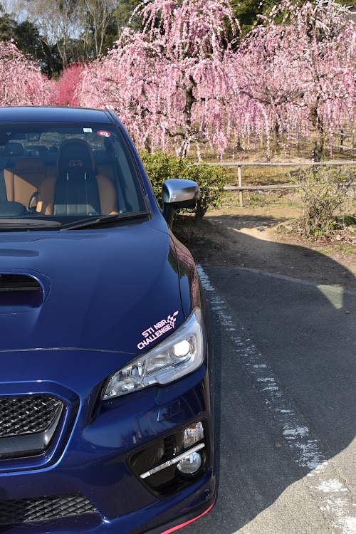 WRX S4の鈴鹿ツインサーキット・梅見・昔懐かし・一眼ムズい・いつもありがとうございますに関するカスタム事例の投稿画像7枚目