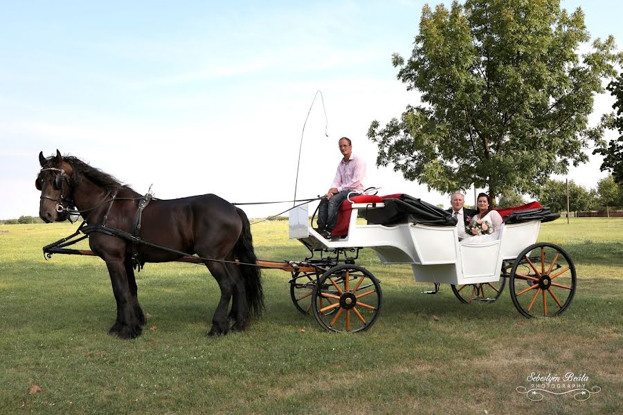 Fotógrafo de casamento Beáta Sebestyén (sebestyenbeata). Foto de 3 de março 2019