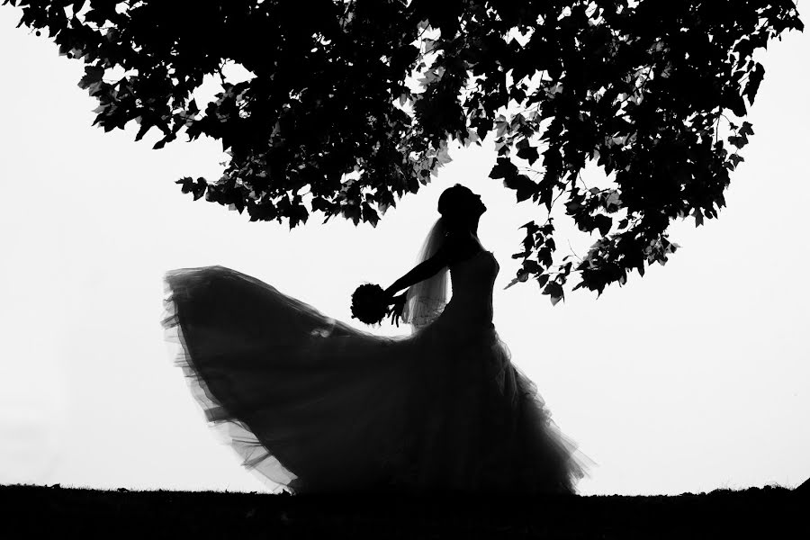 Esküvői fotós Axel Drenth (axeldrenth). Készítés ideje: 2015 szeptember 3.