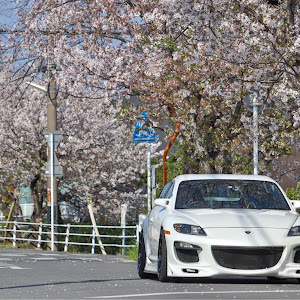 RX-8 SE3P