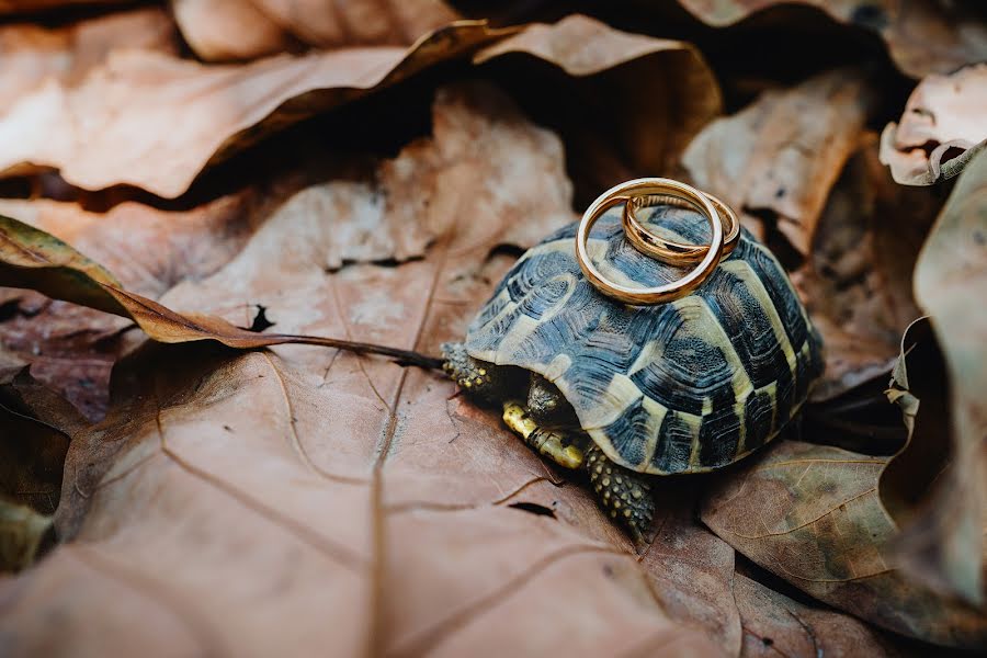 Nhiếp ảnh gia ảnh cưới Carmelo Ucchino (carmeloucchino). Ảnh của 20 tháng 3