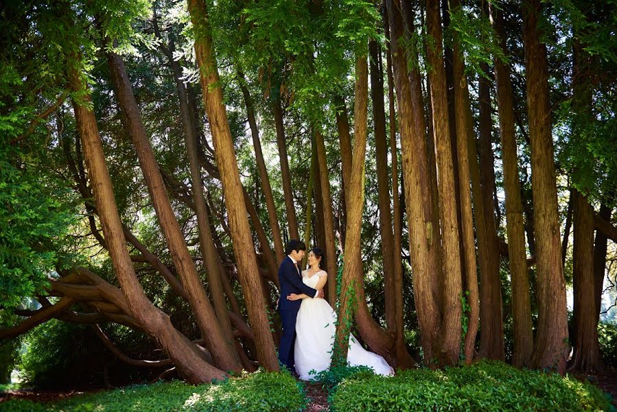 Wedding photographer Will Dolphin (willdolphin). Photo of 1 June 2019