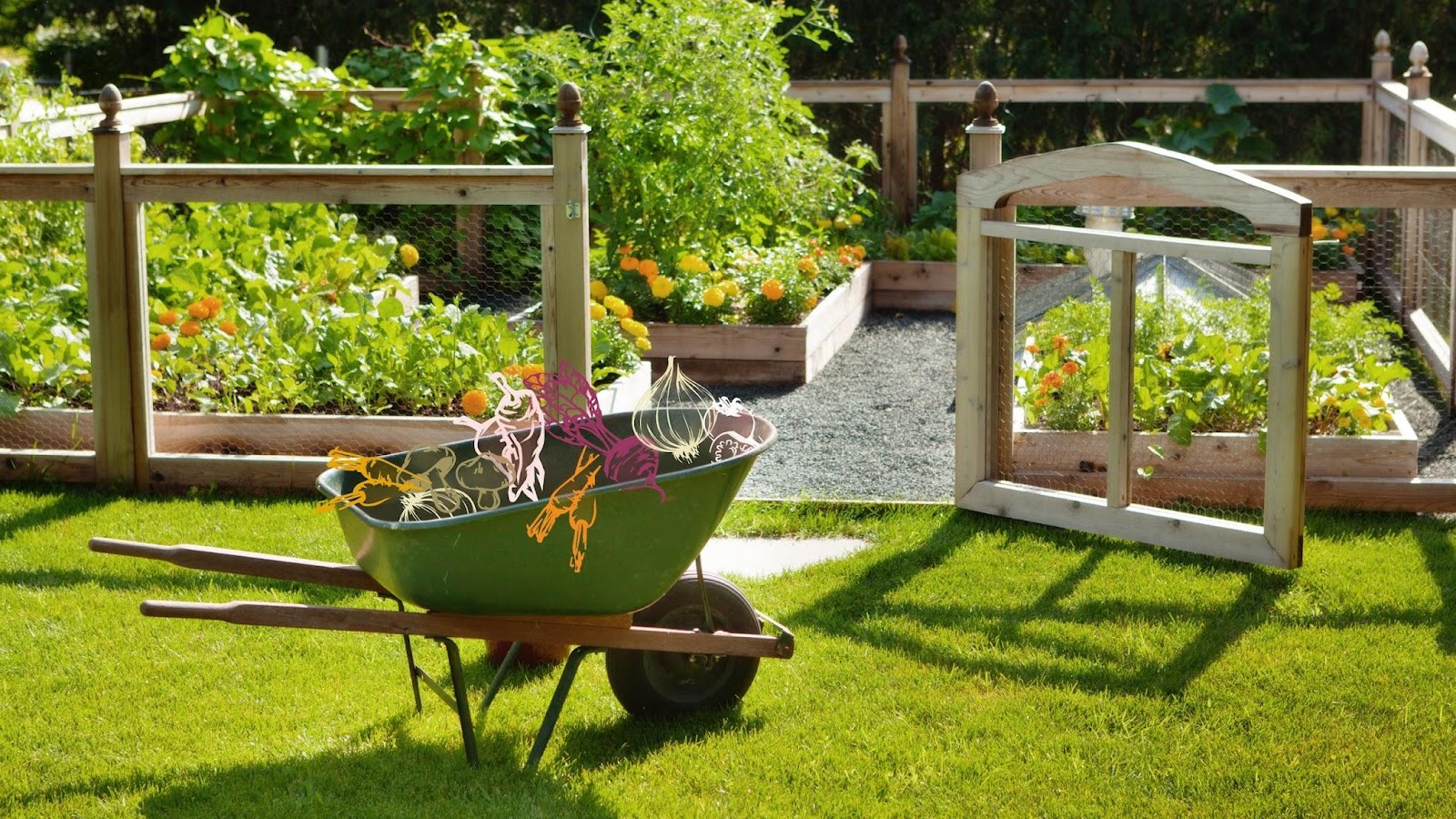 Elevate Your Lifestyle Home Garden Tips