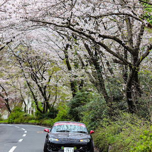 ロードスター NB6C