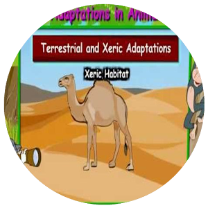 Physiological Adaptations In Animals - Latest version for Android -  Download APK