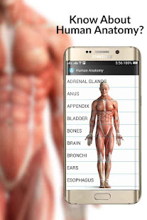 Human Anatomy(圖3)-速報App