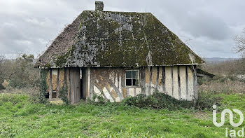 maison à Saint-Martin-aux-Chartrains (14)