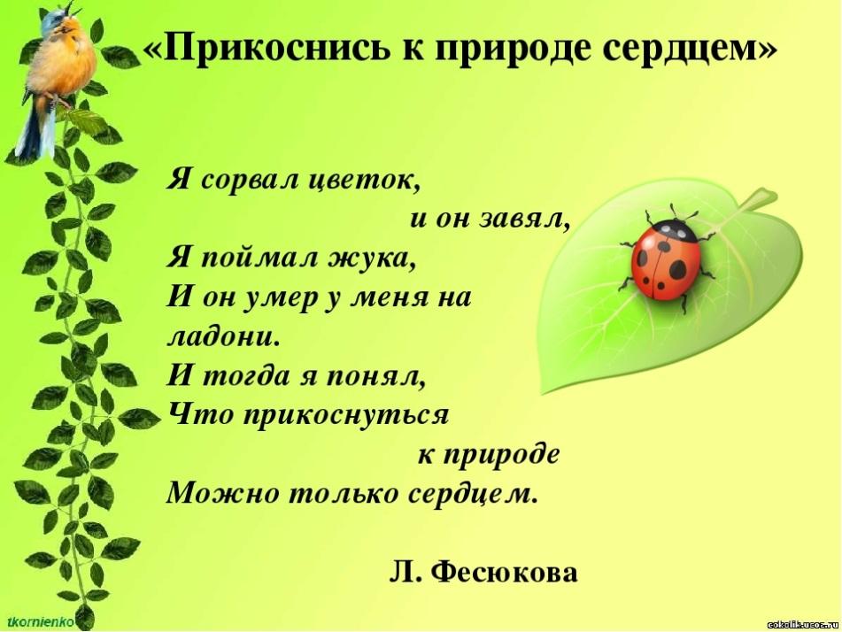 https://ds04.infourok.ru/uploads/ex/1087/00154636-3f61484c/img1.jpg