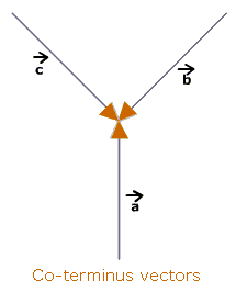 co-terminus-vectors