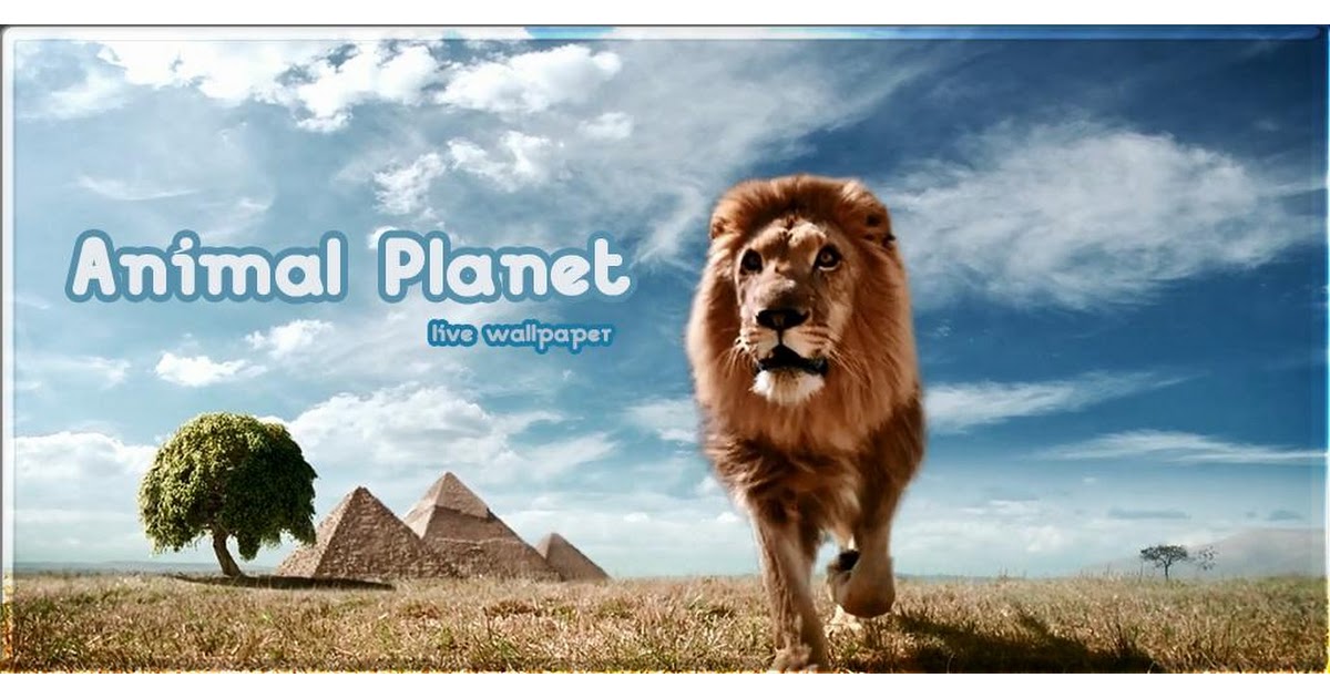 Animal Planet Live Wallpeper APK Download for Android - animalplanet .