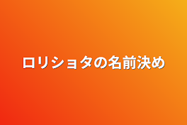 ロリショタの名前決め