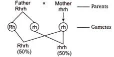 Solution Image