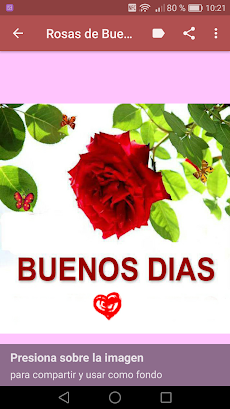 Rosas de Buenos Diasのおすすめ画像5