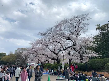 恋愛に年齢なんて関係ない