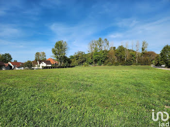 terrain à Montrond-le-Château (25)