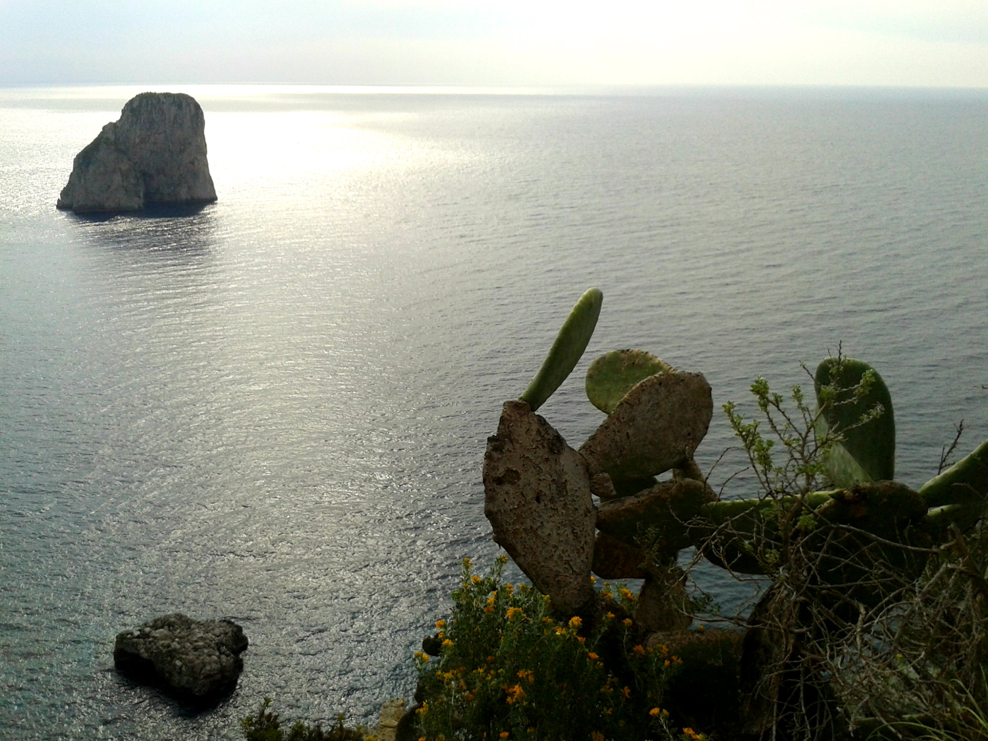 Mare di Capri di -dvd10-
