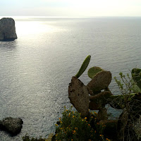 Mare di Capri di 