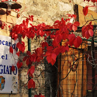 Locanda d'autunno di 