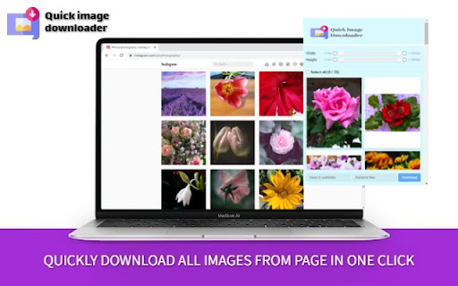 Quick Image Downloader