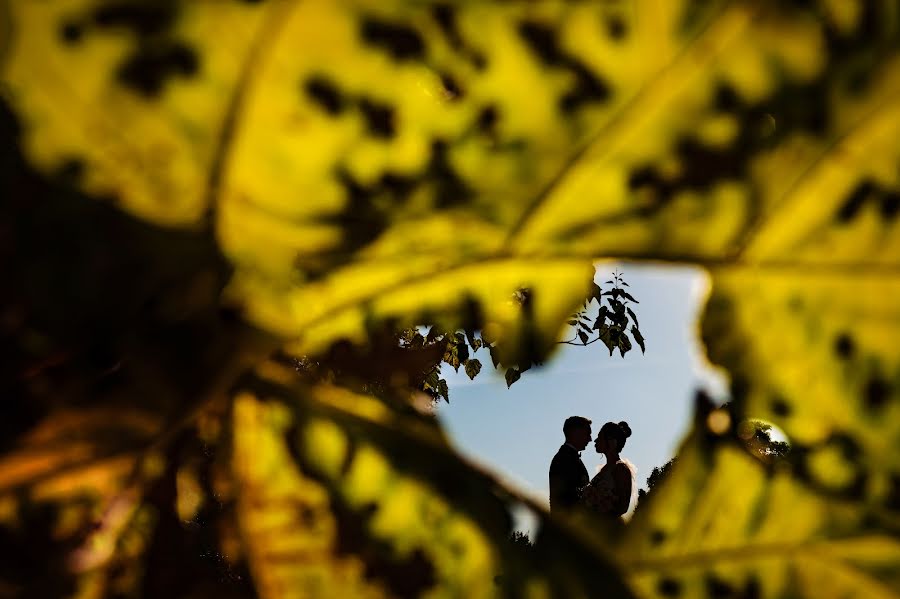 Fotógrafo de casamento Adina Nedisan (adinanedisan). Foto de 16 de outubro 2023