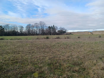 terrain à Bourg-le-Roi (72)