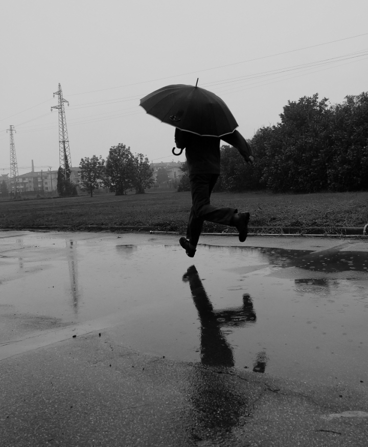 Volare sull'acqua di trifoglio