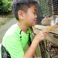 桃樂絲柚香農場