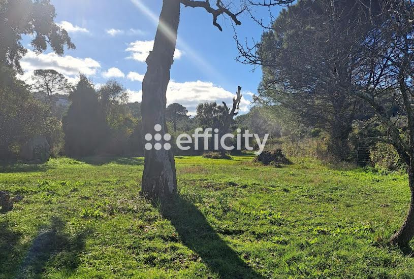  Vente Terrain à bâtir - à Porto-Vecchio (20137) 