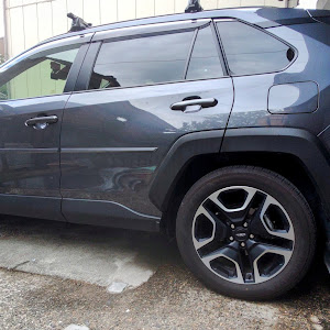 RAV4 MXAA54