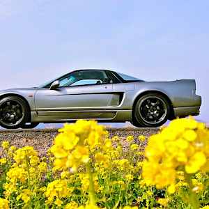 NSX NA1