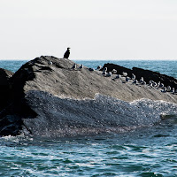 La conquista dello scoglio di 