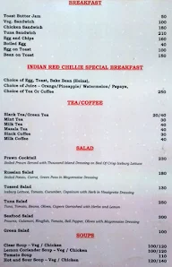 Indian Red Chilli menu 2