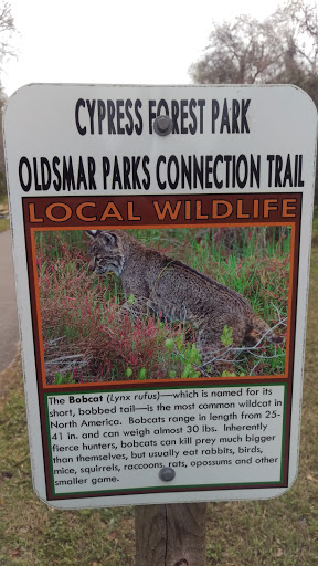 The Bobcat: Connection Trail Nature Sign